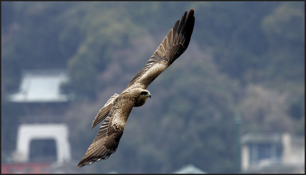 Naturbilder | Bescherer.de